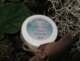 /products/marrocan-mousse-anti-aging-moisturizer/