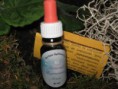/products/nocturnal-regenerative-serum/